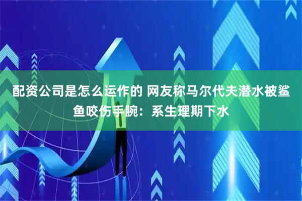 配资公司是怎么运作的 网友称马尔代夫潜水被鲨鱼咬伤手腕：系生理期下水