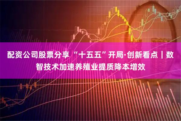 配资公司股票分享 “十五五”开局·创新看点｜数智技术加速养殖业提质降本增效